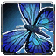 Shore Butterfly