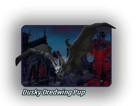 pml-images/dredwing-pup
