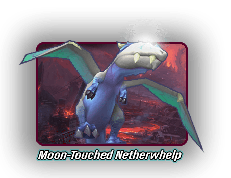 pml-images/moon-touch-whelp