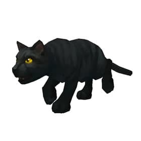 Bombay Cat