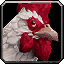 Arathi Chicken