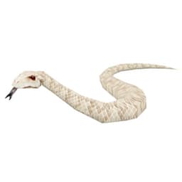 Albino Snake